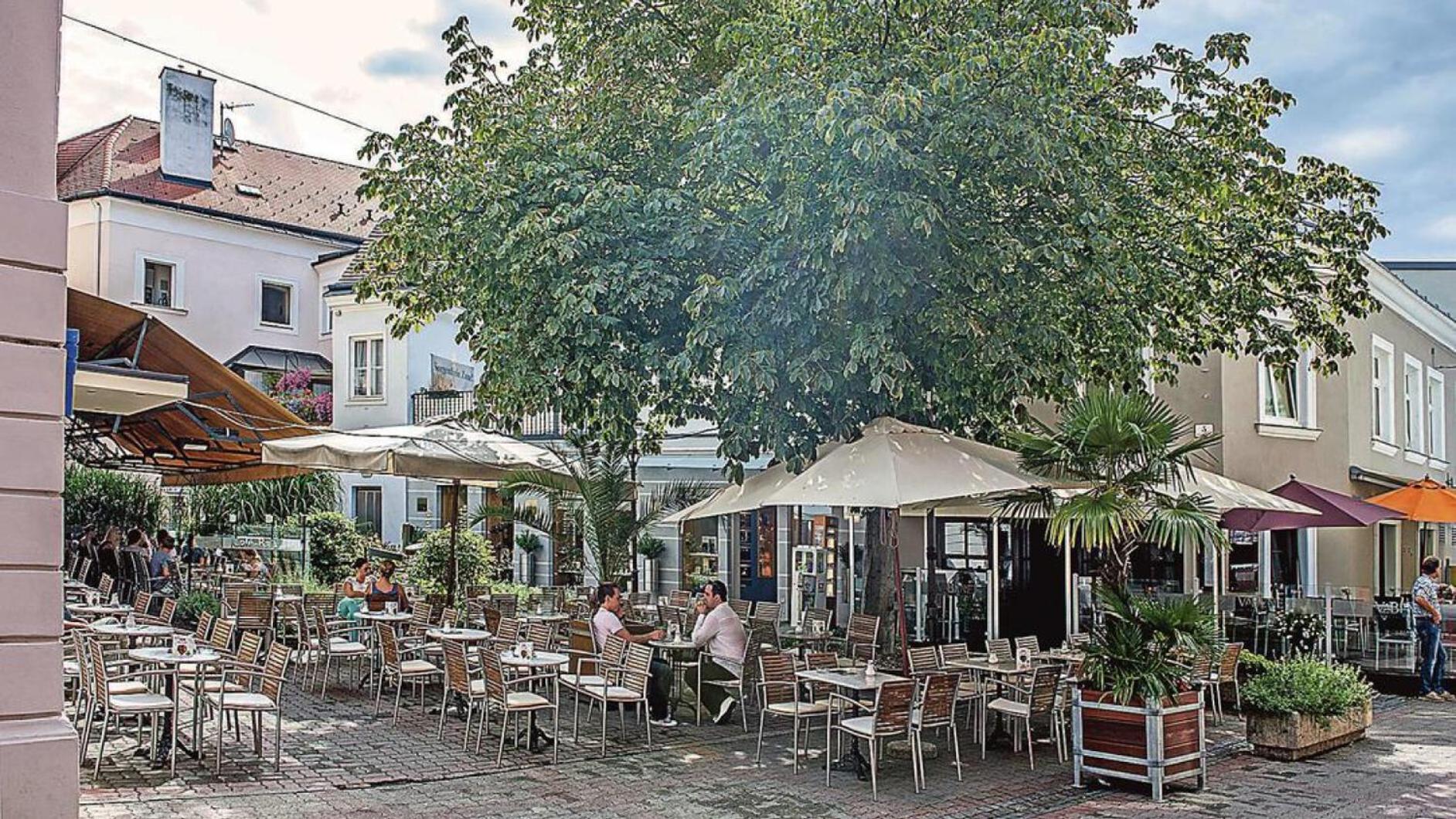 Top Appartement Fuer Business-Wohnen-Urlaub Wiener Neustadt Esterno foto